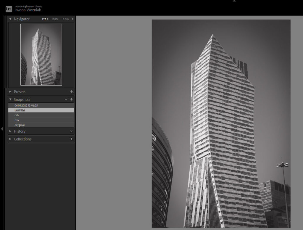 Lightroom Classic Snapshots