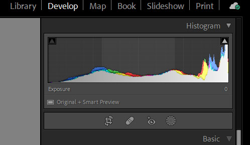 Histogram w Lightroom Classic.