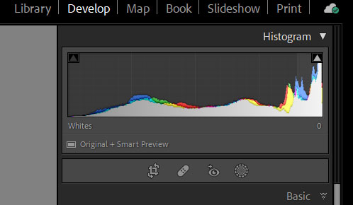 Histogram w Lightroom Classic.