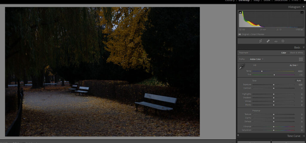 Histogram w Lightroom Classic.