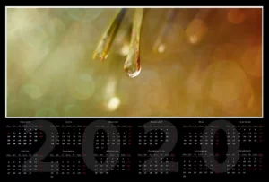 Kalendarz jednostronicowy