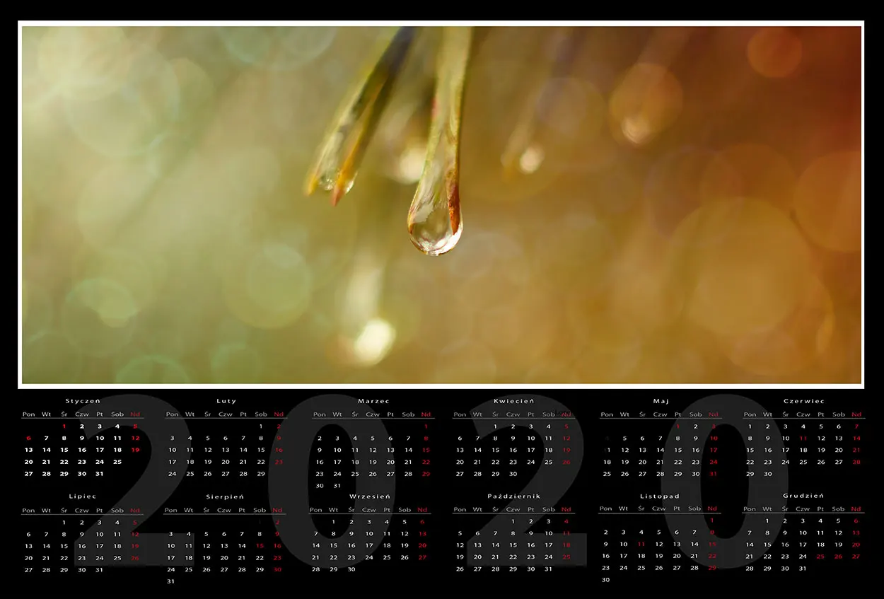 Kalendarz jednostronicowy