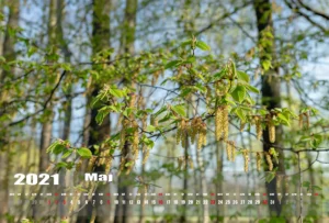 Strona kalendarza maj 