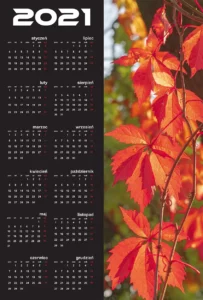 Kalendarz dwanaście miesięcy