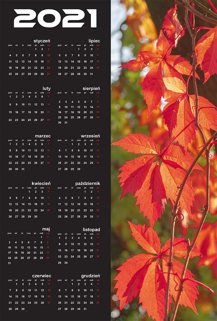 Kalendarz dwanaście miesięcy