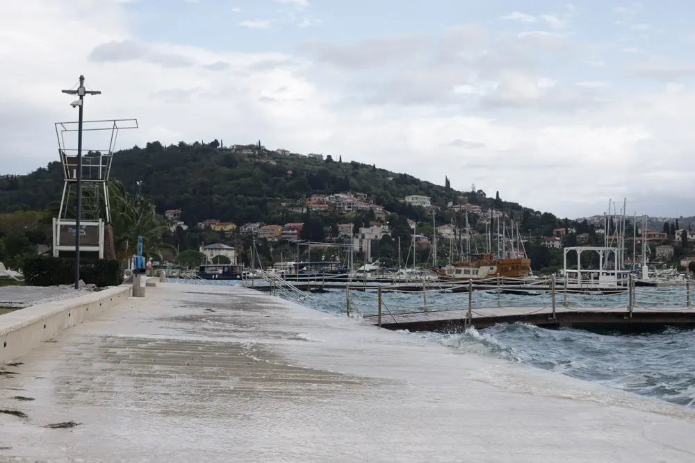 RAW zrzut z matrycy aparatu fotograficznego